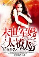 重生逆襲:末世軍婚太撩人