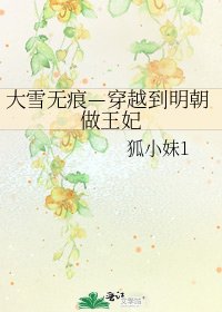 大雪無痕—穿越到明朝做王妃