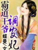 霸道王爺調皮妃